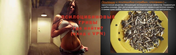 сатива Абинск
