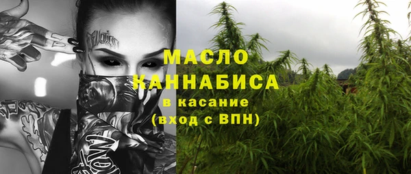 сатива Абинск