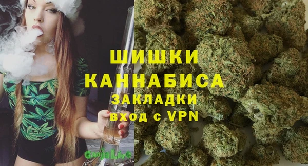 сатива Абинск